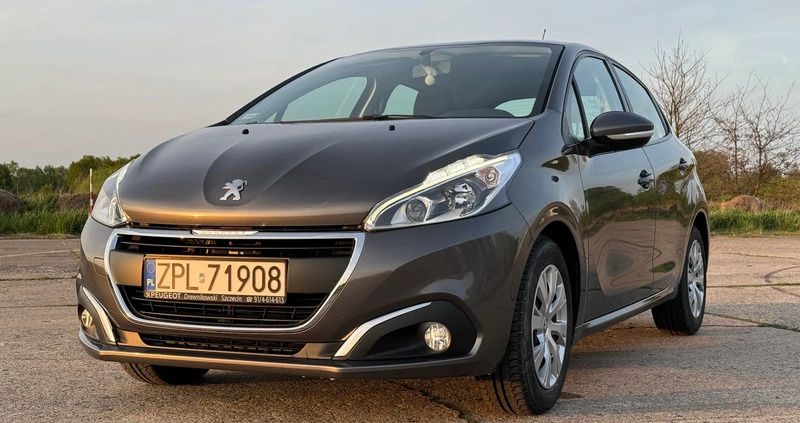 Peugeot 208 cena 39900 przebieg: 51160, rok produkcji 2019 z Szczecin małe 137